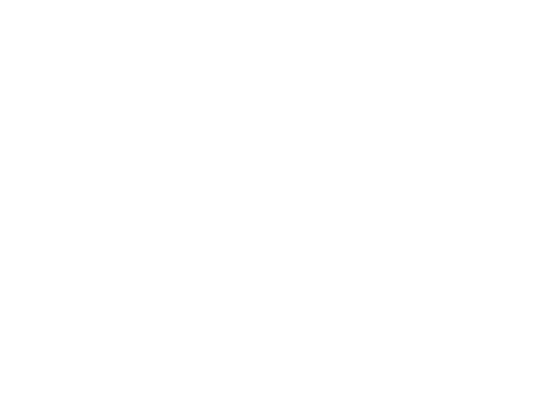 Solo Tacos Catering